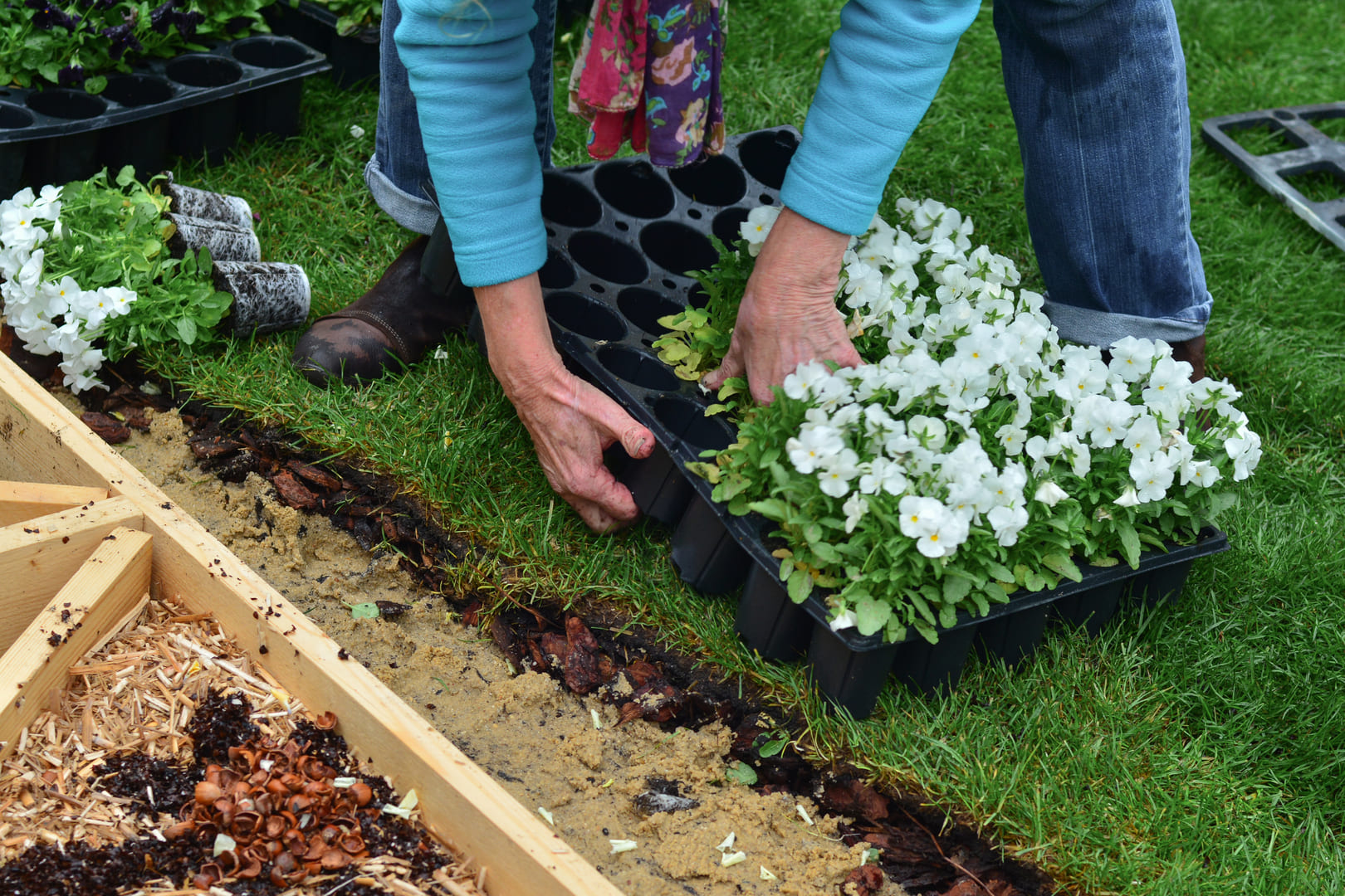 Plantation de fleurs dans un jardin par Horizon Jardin