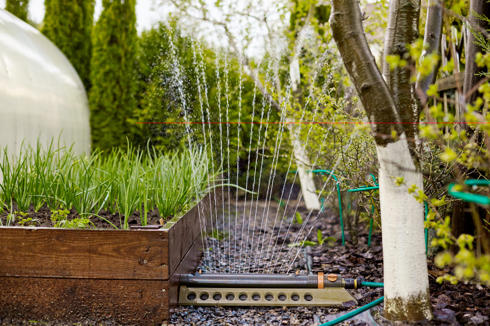 Carré potager structuré dans un jardin aménagé