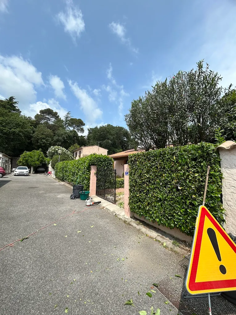 Taille de haie réalisée à Cannes La Bocca