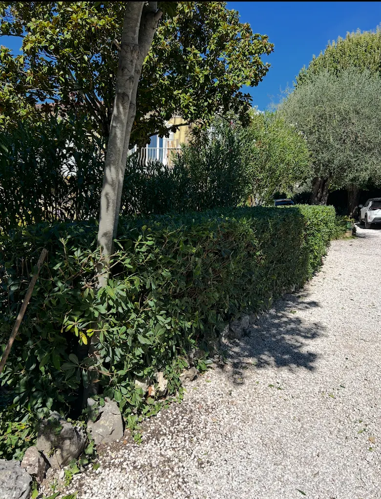 Taille de haie par Horizon Jardin